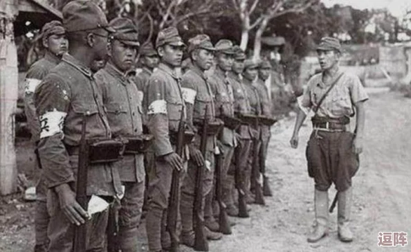 二战风云策略：优化民生政策，提升民心与人口增长的奥秘探索