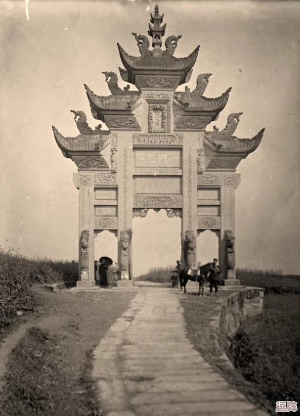 寡妇一级：观众评价极高，剧情跌宕起伏让人难以自拔的作品