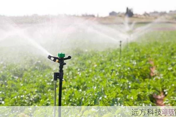 苏软软优质灌溉系统汉怡昏:用户好评如潮,系统高效且易操作,值得推荐! 苏软软优质灌溉系统汉怡昏:用户好评如潮,系统高效且易操作,值得推荐!