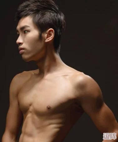 蓝男色1069帅男模GAy：展现多元魅力与时尚风格的男性模特，挑战传统审美观念，引领潮流新趋势