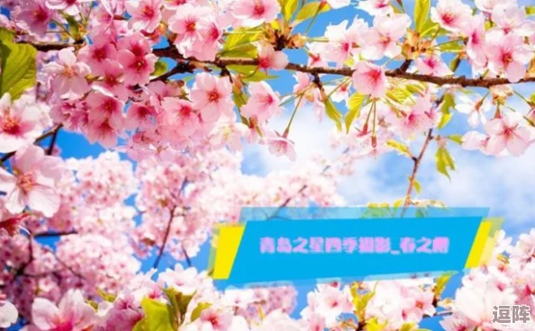 2023光遇花之日活动攻略：如何高效兑换樱花斗篷新装扮