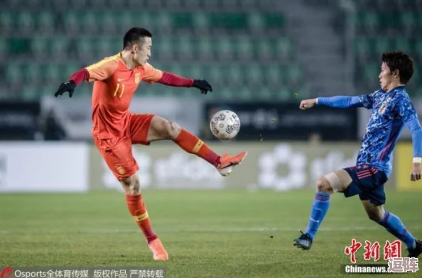 China篮球体育手冲软件免费，助力球迷畅享精彩赛事直播与实时数据分析，提升观赛体验的最佳选择！