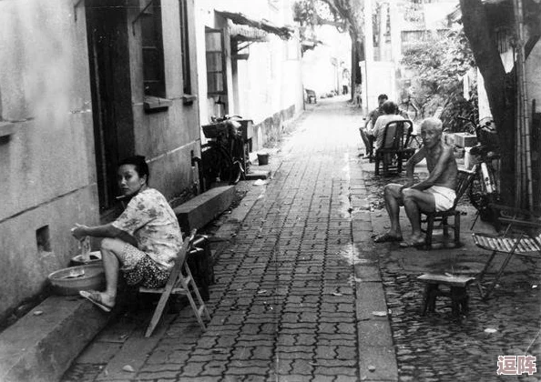 我就要草：在这个快节奏的时代，如何找到属于自己的宁静与快乐？