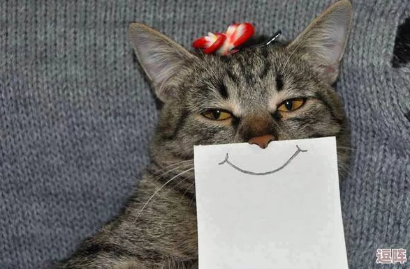 猫咪mv最新地域网名怎么取?八卦消息曝光,细节揭秘! 猫咪mv最新地域网名怎么取?八卦消息曝光,细节揭秘!