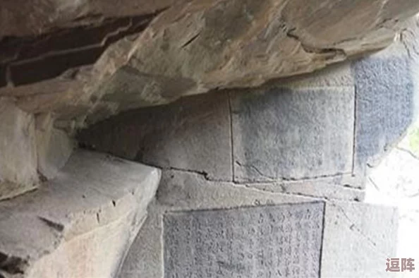 美女露尿口事件引发热议，网友纷纷讨论其背后的社会现象与文化影响